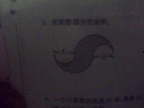 搞笑阴影面积图片,搞笑图片背后的趣味解读